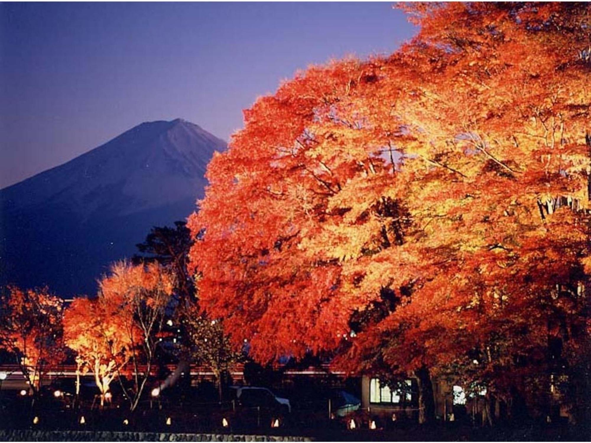 富士山度假村酒店 富士河口湖 外观 照片